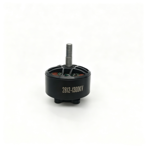 Home d2812 1300kv brushless dc motor 1
